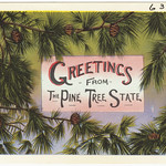 Greetings from the Pine Tree State