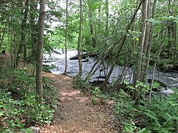 "Sedgeunkedunk Stream, Orrington, Maine image 7" by DrStew82 is licensed under CC BY-SA 4.0.