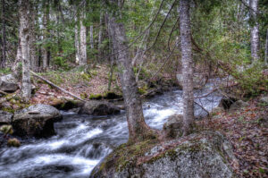 Stream out of Tunk Lake, Maine